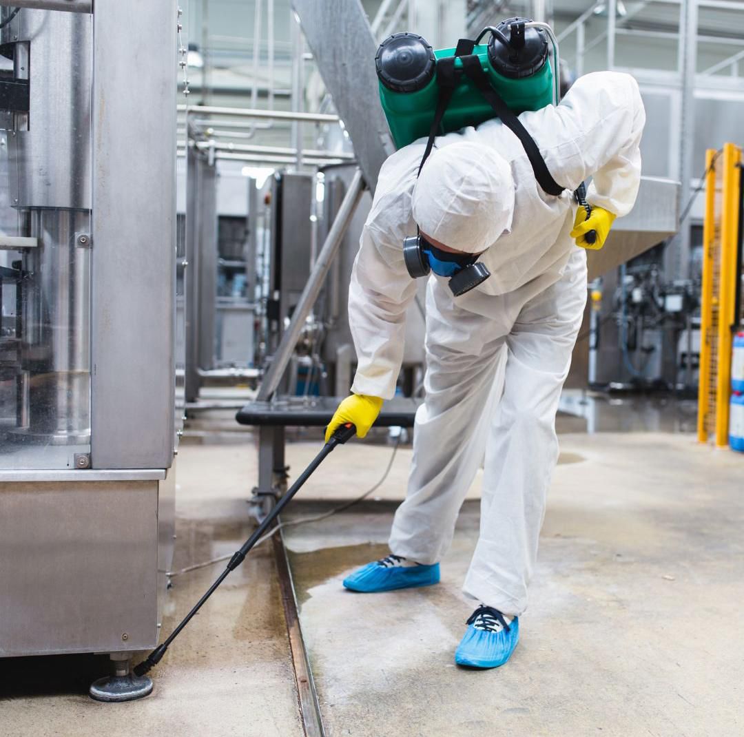 Cleaning service example